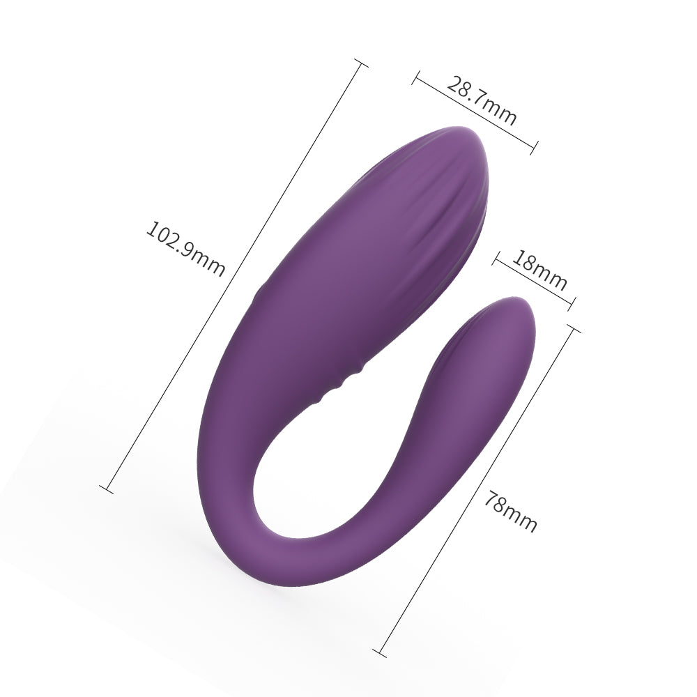 Lila Partnervibrator Mit Doppelstimulation